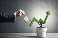 Concept of investment income and growth with tree in pot